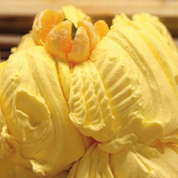 kuvac kremova IceCom-1 kuvac kremova IceCom-1